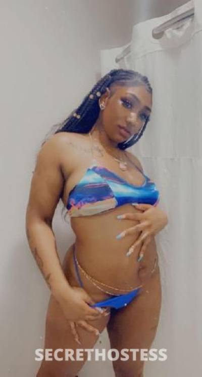 Shantelll 22Yrs Old Escort Concord CA Image - 5