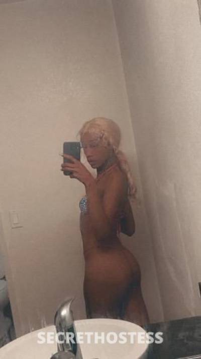 22Yrs Old Escort San Diego CA Image - 1