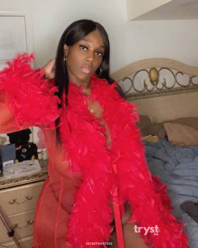 Gia Banks 20Yrs Old Escort 174CM Tall Chicago IL Image - 7