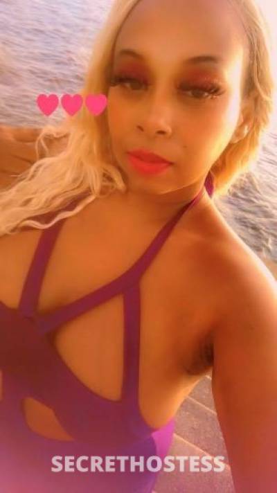 Strawberry 28Yrs Old Escort New Orleans LA Image - 2