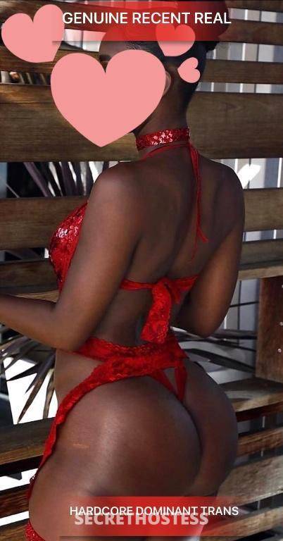 29Yrs Old Escort Size 6 60KG 168CM Tall Melbourne Image - 13