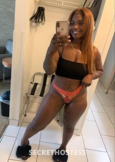 23Yrs Old Escort Southern Maryland DC Image - 1