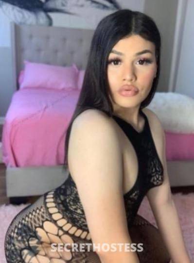 Diamond 23Yrs Old Escort Oakland CA Image - 2