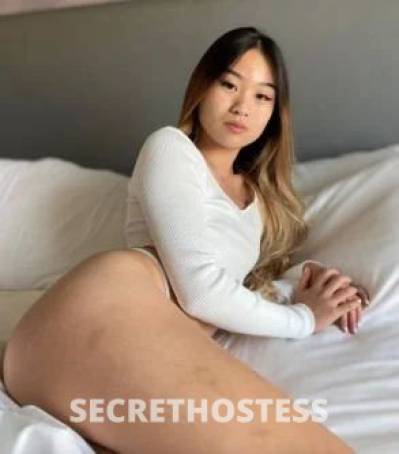 Hanna 24Yrs Old Escort Brisbane Image - 3