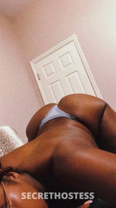 Lea 22Yrs Old Escort Orlando FL Image - 3