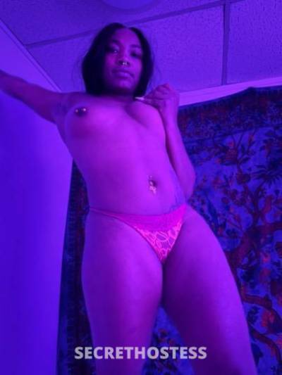 Sevyn 21Yrs Old Escort 154CM Tall Jacksonville FL Image - 2