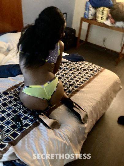 28Yrs Old Escort North Mississippi MS Image - 2