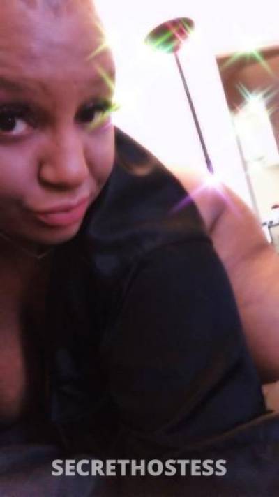 36 year old Hispanic Escort in South Jersey NJ Elite top tier dick sucker text only 100 real i don t go 