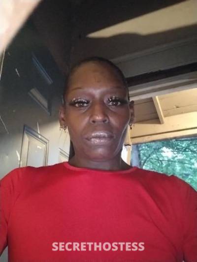 39 year old Escort in Louisville KY I melt in your mouth not in ur hands