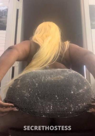 Africaná 28Yrs Old Escort Brooklyn NY Image - 2