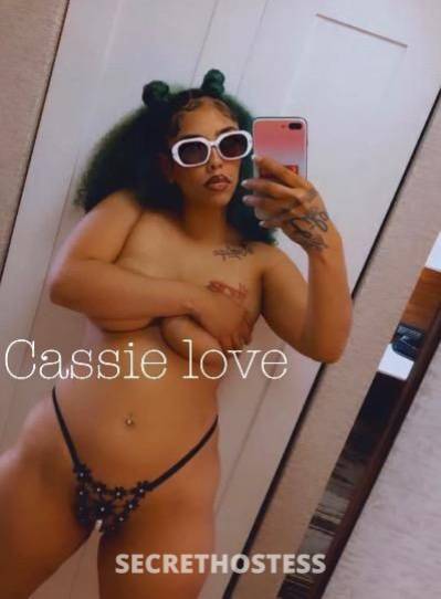 Cassie 25Yrs Old Escort Central Jersey NJ Image - 3