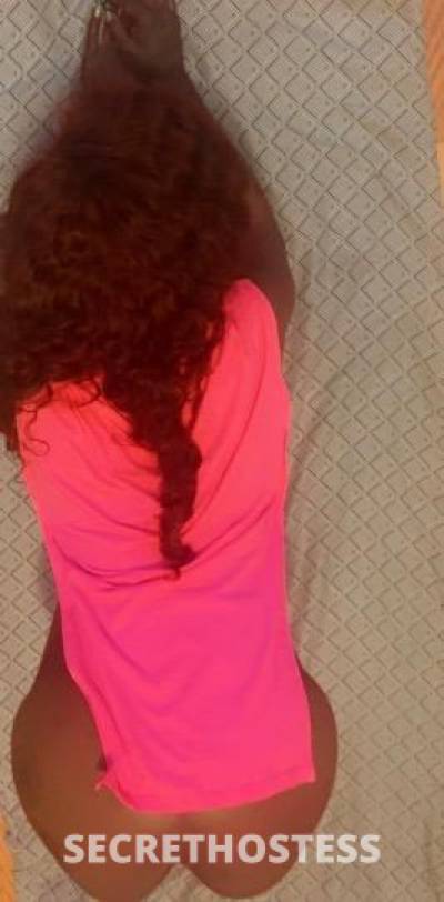 😍‍Squriting pussy‼chocolate finest 22 year old Escort in Brooklyn NY