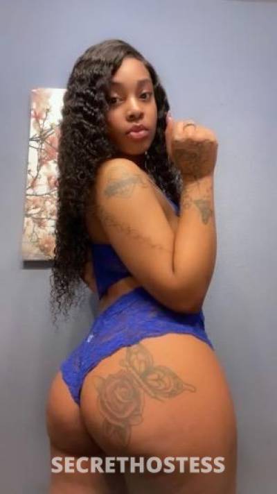 Diamond 23Yrs Old Escort Detroit MI Image - 1