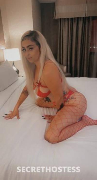 Lory 27Yrs Old Escort Hudson Valley NY Image - 3