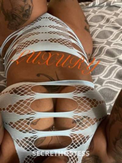 Luxury 33Yrs Old Escort Raleigh-Durham NC Image - 8