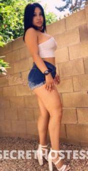 Ella 30Yrs Old Escort Size 8 Albury Image - 5