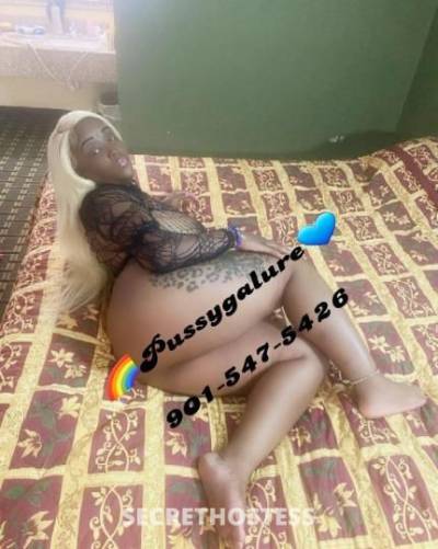 💦MS🤞🏽PUSZYGALURE💦 26Yrs Old Escort Memphis TN Image - 7