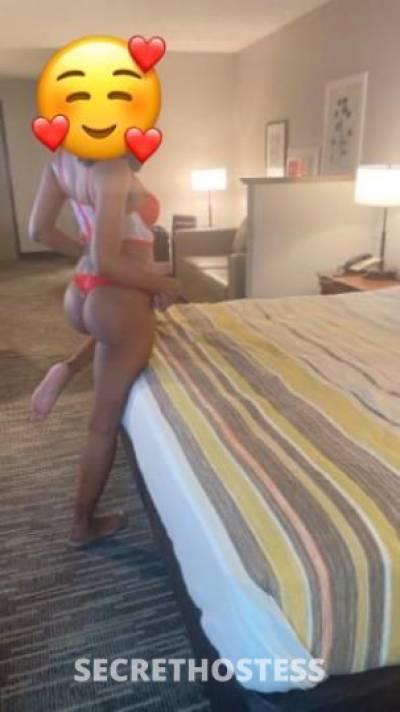 28 year old Escort in Charlotte NC Beautiful Chocolate Curvy Ebony Cum have a time of your life