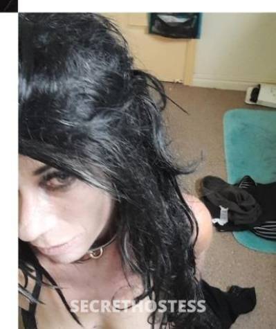 34Yrs Old Escort Size 6 Townsville Image - 1