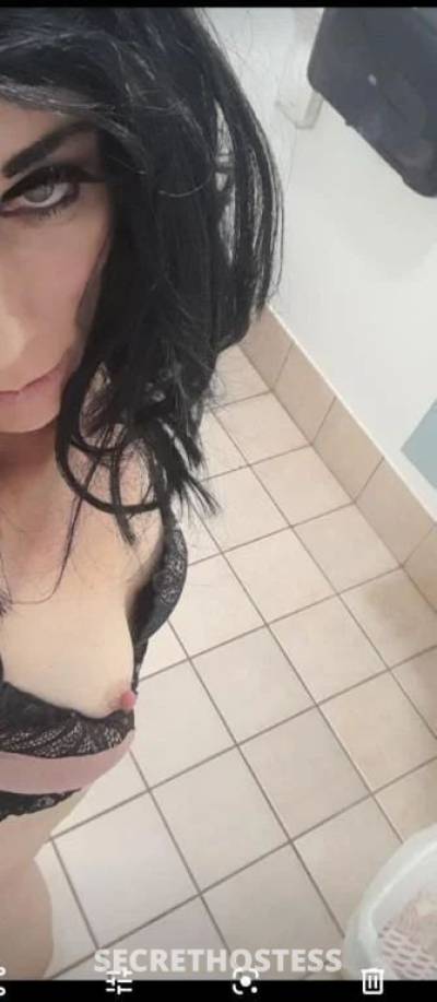 34Yrs Old Escort Size 6 Townsville Image - 2