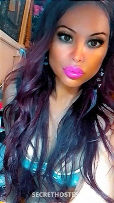 34 year old Escort in Alexandra Headland Sunshine Coast Anna Anna petite brunette caramel skin babe