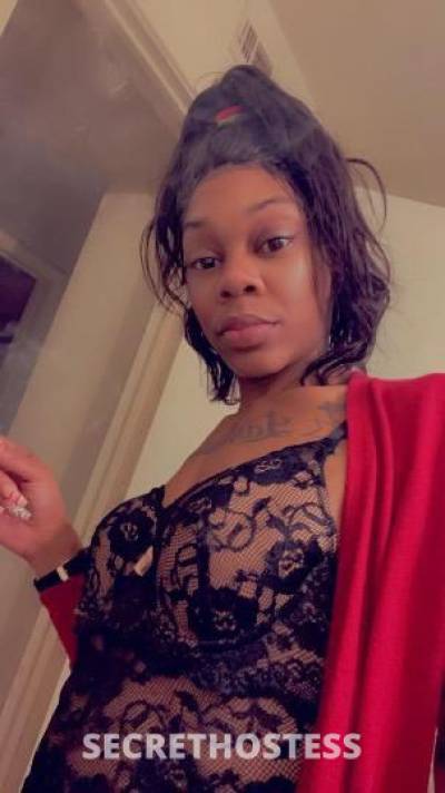 Naughty and Nice Lady looking for fun , waterpark fun 31 year old Escort in Dallas TX