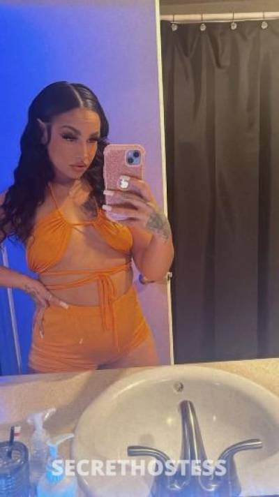 Gucci 25Yrs Old Escort Tri-Cities WA Image - 6