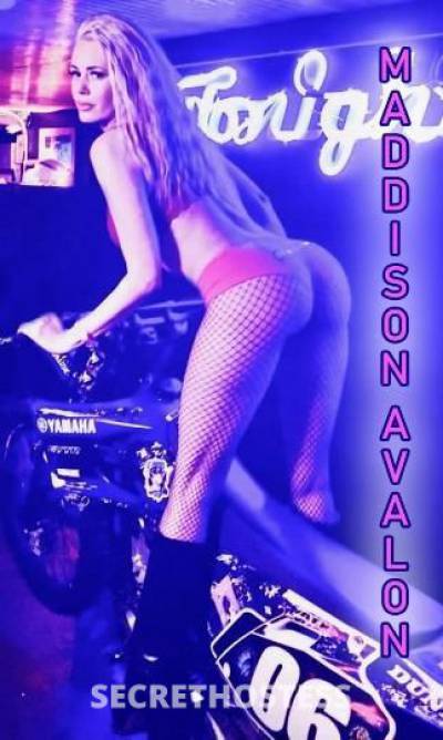 MaddisonAvalon 34Yrs Old Escort San Antonio TX Image - 5