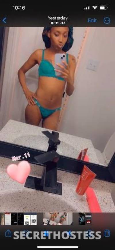 SlimYellaauuh 24Yrs Old Escort Dallas TX Image - 6