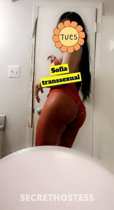 Sofiatranssexual 24Yrs Old Escort McAllen TX Image - 0