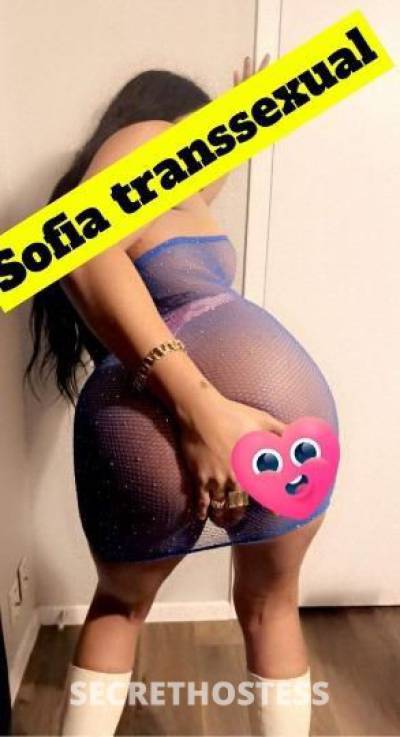 Sofiatranssexual 24Yrs Old Escort McAllen TX Image - 2