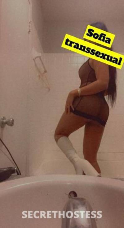 Sofiatranssexual 24Yrs Old Escort McAllen TX Image - 3