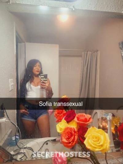 Sofiatranssexual 24Yrs Old Escort McAllen TX Image - 5