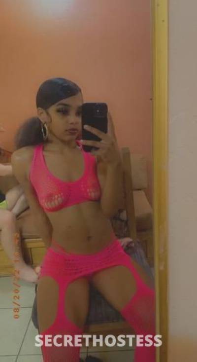 21Yrs Old Escort Los Angeles CA Image - 1