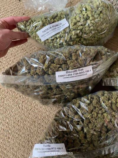 Pamelar 23Yrs Old Escort 167CM Tall Nova Scotia Image - 4