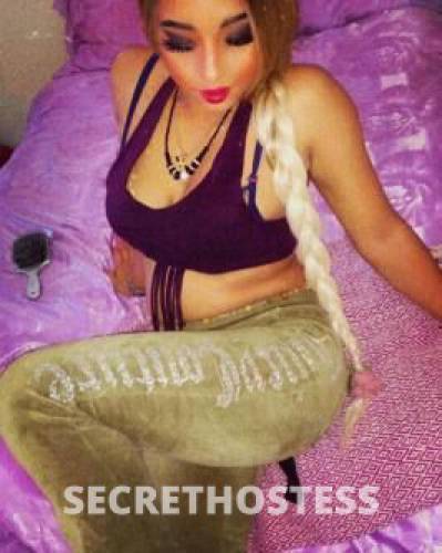 23Yrs Old Escort Size 10 Brisbane Image - 8