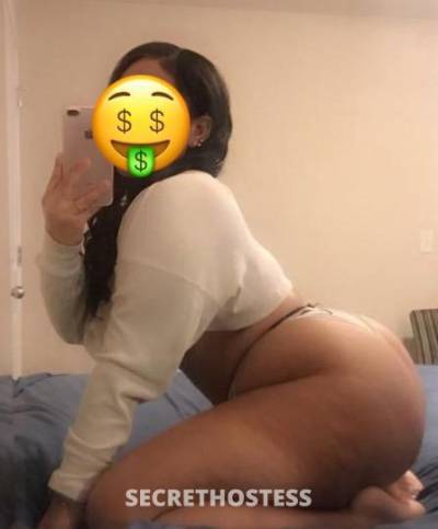 24Yrs Old Escort Tampa FL Image - 0