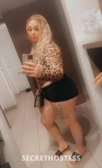 24Yrs Old Escort Bloomington IL Image - 2