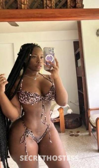 27Yrs Old Escort Sarasota FL Image - 1