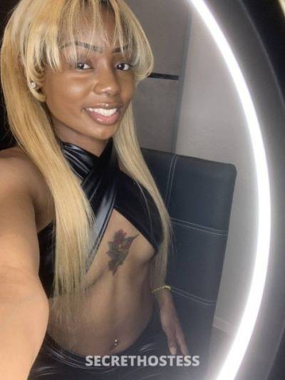 21 Year Old Escort Fort Lauderdale FL Blonde - Image 2