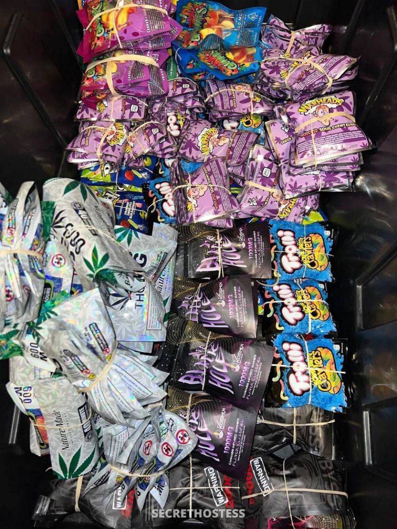 Donna 26Yrs Old Escort Size 8 167CM Tall Denver CO Image - 3