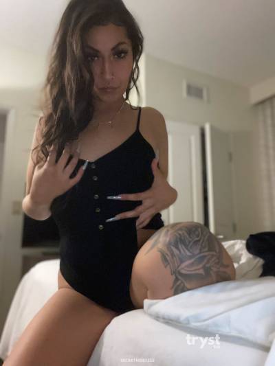 20 Year Old Latino Escort San Jose CA Brunette - Image 6