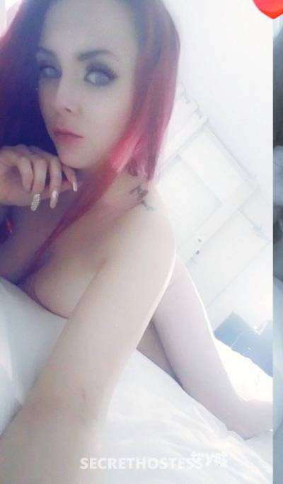 22Yrs Old Escort Size 6 157CM Tall San Jose CA Image - 1