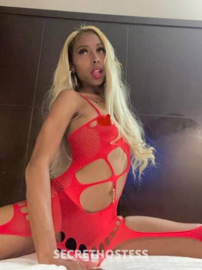 21 year old African Escort in San Fernando Valley CA Ethiopian queen