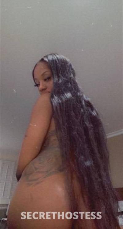 23Yrs Old Escort Tampa FL Image - 3