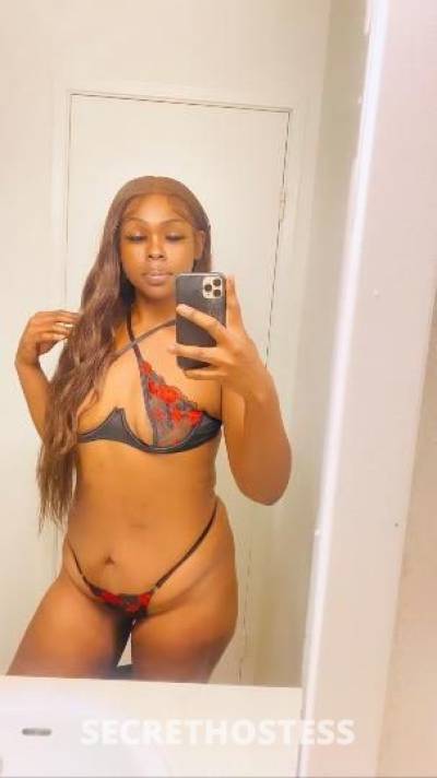 24Yrs Old Escort San Diego CA Image - 1