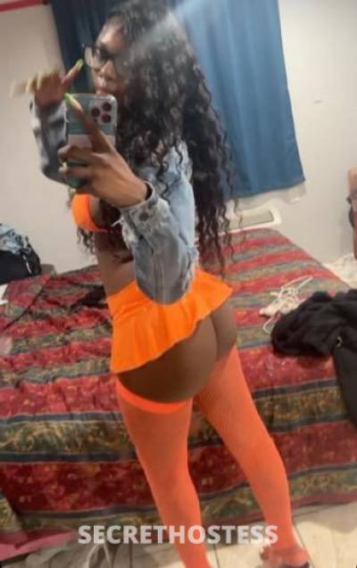 Starr 21Yrs Old Escort North Bay CA Image - 1