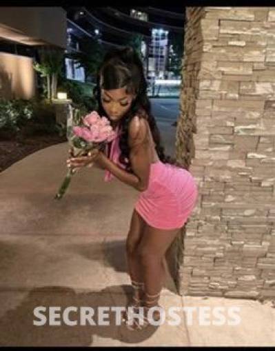 20Yrs Old Escort Houston TX Image - 3