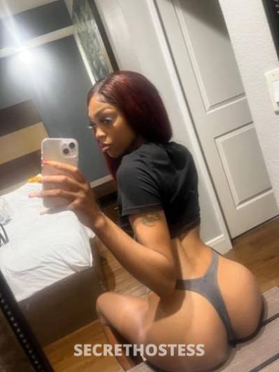 22Yrs Old Escort Houston TX Image - 3