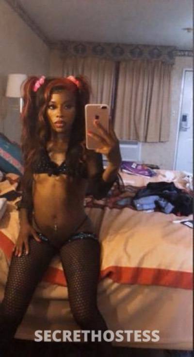 22Yrs Old Escort Houston TX Image - 0